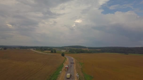 ロシア ベラルーシ ウクライナのそば畑上のドローン上の飛行 地平線上のオークの木と湖の木立 道路の修理 — ストック動画