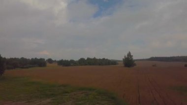 Rusya, Beyaz Rusya, Ukrayna'da karabuğday tarlaları üzerinde drone uçuş. meşe ağaçları nın bahçeleri ve ufukta bir göl, yol onarım