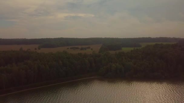 vol sur le drone au-dessus des champs de sarrasin en Russie, Biélorussie, Ukraine. bosquets de chênes et un lac à l'horizon, réparation de routes 