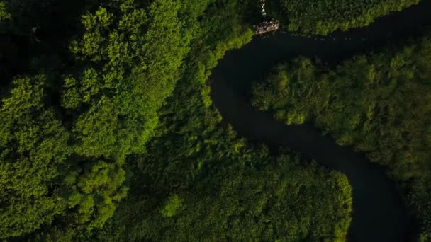 Semester Ivana Kupala Flygningen Drönare Över Branden Ivana Kupala Kasta — Stockvideo