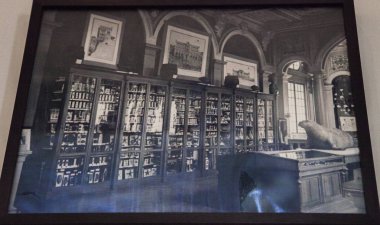 Monako yaz sokakları, sokaklarda dış detayları, çatılar, ışıklar ve kapılar, pencereler, Monte Carlo yollar. Kraliyet Meydanı, parklar, Monako'daki Okyanus Müzesi, deniz balığı.