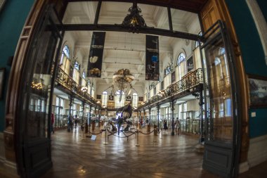 Monako yaz sokakları, sokaklarda dış detayları, çatılar, ışıklar ve kapılar, pencereler, Monte Carlo yollar. Kraliyet Meydanı, parklar, Monako'daki Okyanus Müzesi, deniz balığı.