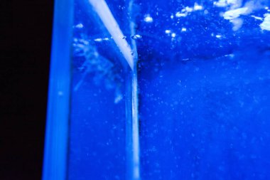 Monako yaz sokakları, sokaklarda dış detayları, çatılar, ışıklar ve kapılar, pencereler, Monte Carlo yollar. Kraliyet Meydanı, parklar, Monako'daki Okyanus Müzesi, deniz balığı.