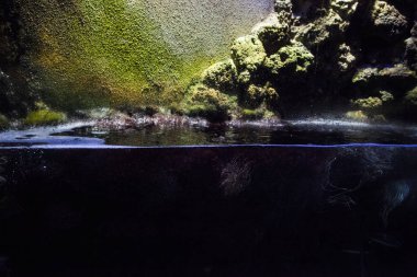 Monako yaz sokakları, sokaklarda dış detayları, çatılar, ışıklar ve kapılar, pencereler, Monte Carlo yollar. Kraliyet Meydanı, Parklar, Monako Okyanus Müzesi.