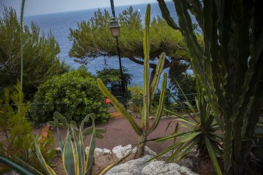 Monako yaz sokakları, sokaklarda dış detayları, çatılar, ışıklar ve kapılar, pencereler, Monte Carlo yollar. Kraliyet Meydanı, Monako'daki parklar.