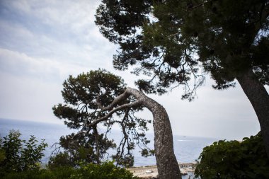 Monako yaz sokakları, sokaklarda dış detayları, çatılar, ışıklar ve kapılar, pencereler, Monte Carlo yollar. Kraliyet Meydanı, Monako'daki parklar.