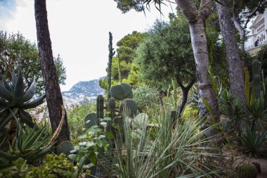 Monako yaz sokakları, sokaklarda dış detayları, çatılar, ışıklar ve kapılar, pencereler, Monte Carlo yollar. Kraliyet Meydanı, Monako'daki parklar.