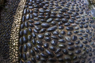 Cenova, yaz sokakları, sokaklarda dış detayları, çatılar, ışıklar ve kapılar, pencereler, Cenova yolları. Plaza Kristof Kolomb, parklar, Cenova Müzesi, balıkçıların limanları. Evlerde Genova İtalyan Madonna heykel freskleri