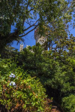 Cenova, yaz sokakları, sokaklarda dış detayları, çatılar, ışıklar ve kapılar, pencereler, Cenova yolları. Plaza Kristof Kolomb, parklar, Cenova Müzesi, balıkçıların limanları. Evlerde Genova İtalyan Madonna heykel freskleri, hız turu 