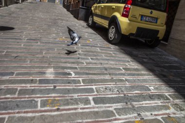 Cenova, yaz sokakları, sokaklarda dış detayları, çatılar, ışıklar ve kapılar, pencereler, Cenova yolları. Plaza Kristof Kolomb, parklar, Cenova Müzesi, balıkçıların limanları. Evlerde Genova İtalyan Madonna heykel freskleri