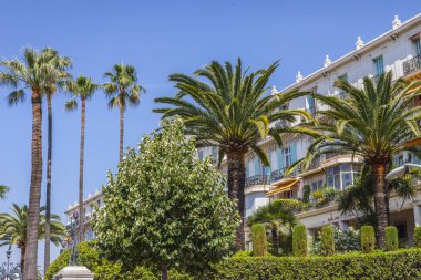 Nice şehri, Bazilika tapınağı, şehir limanlarının sokakları, feribotlar, gemi gemileri, Nizza yaz sokakları, sokaklarda dış detaylar, çatılar, ışıklar ve kapılar, pencereler, Nizza yolları. Plaza, parklar. Nizza Madonna evlerde heykel freskleri