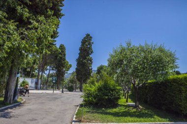 Nice şehri, Bazilika tapınağı, şehir limanlarının sokakları, feribotlar, gemi gemileri, Nizza yaz sokakları, sokaklarda dış detaylar, çatılar, ışıklar ve kapılar, pencereler, Nizza yolları. Plaza, parklar. Nizza Madonna evlerde heykel freskleri