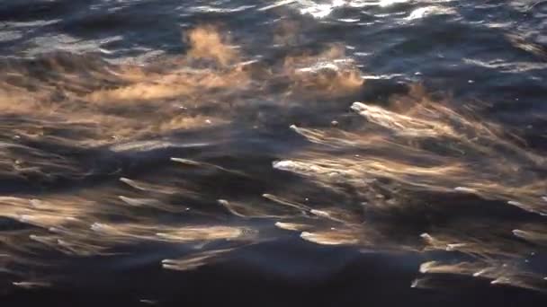 Blubberndes Wasser Geysir Stickstoffwasser Wellen Aus Geysir Bohrungen — Stockvideo