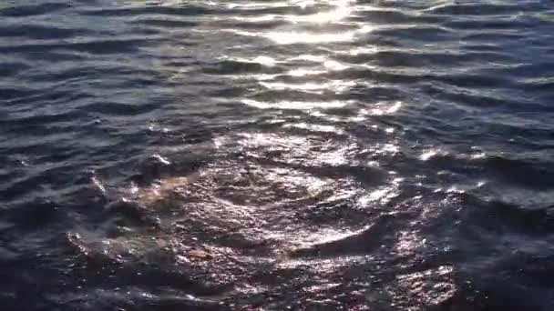 eau bouillonnante, geyser, eau azotée, vagues de forage geyser 