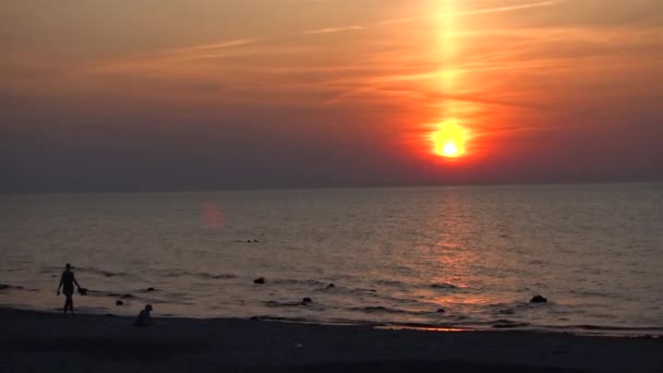 Západ Slunce Baltském Moři Pláž Při Západu Slunce Racci Pláži — Stock video