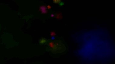 açık renkli, kar taneli gökkuşağı vektör arkaplanı.