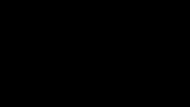 Karanlık çöktüğünde dinamik şehir manzarası Islak sokaklara yansıyan parlak neon ışıkları