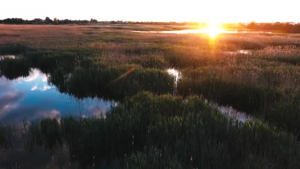 Пролітати Над Прекрасного Озера Захід Сонця Над Озером Заростями Очерету — стокове відео