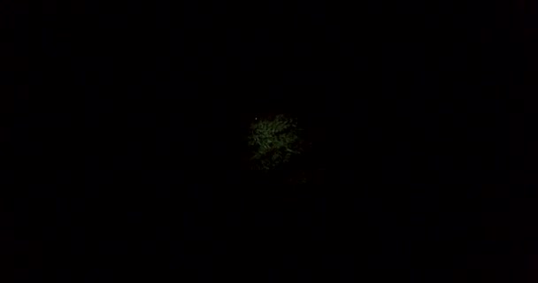 Landing op tarwe in de nacht. Subjectieve camera. — Stockvideo