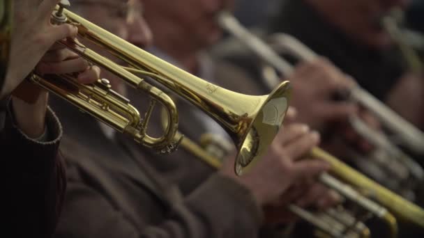 Närbild av blåsinstrument. Jazzman spelar trumpet. Mässing verktyg. — Stockvideo