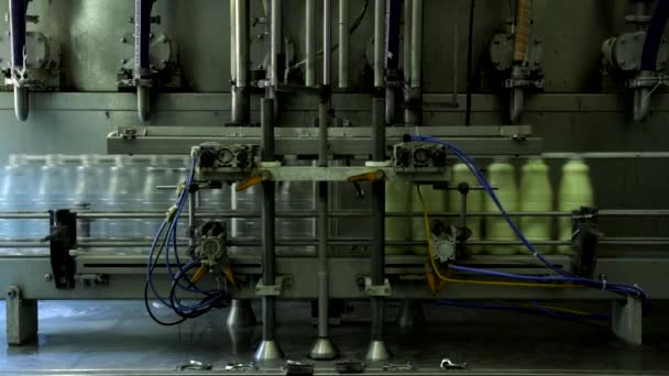 Automated line for the production of milk in plastic bottles. Milk bottles on a conveyor belt. — Stock Video