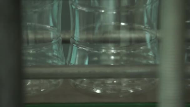 Automated line for the production of milk in plastic bottles. Milk bottles on a conveyor belt. — Stock Video