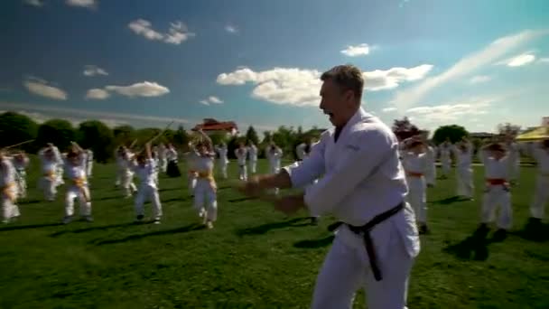 Exercício ao ar livre. Aulas de Aikido ao ar livre. As crianças estão envolvidas na arte marcial do Aikido. Maio 2018, Rússia, Krasnodar. aldeia alemã . — Vídeo de Stock