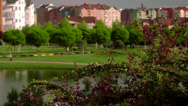 Schöne Aussicht auf das deutsche Dorf. Grüner Platz mit einem See und Blick auf die Stadtlandschaft.Grüne Bäume in der Nähe des Sees. Deutsches Dorf. Krasnodar. — Stockvideo