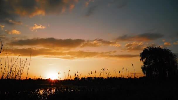 Solnedgång över ett träsk eller sjön vid motorvägen. — Stockvideo