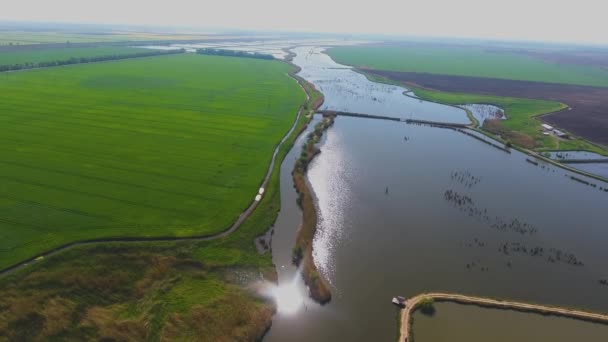 航空写真。湖の間の道。魚のいる池。夏の朝。Ivanovskaya。クラスノダール。ロシア. — ストック動画