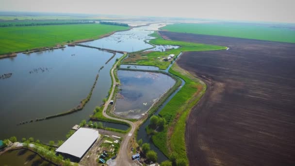 Fotografia aérea. Motocicleta na estrada. A estrada entre os lagos. Lago de peixes. Manhã de verão. Ivanovskaya. Krasnodar. Rússia . — Vídeo de Stock