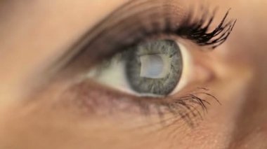 Kadın kız makro göz monitör, Internet wikipedia sörf arıyorsunuz