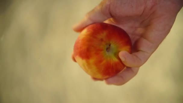 Tenant les mains de pomme, Gros plan, Fruits d'automne. Pour laver une pomme dans l'eau. Trempez une pomme rouge dans l'eau — Video