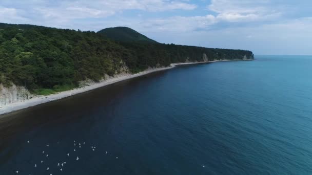 Costa del mar del mar negro de un vuelo de aves . — Vídeos de Stock