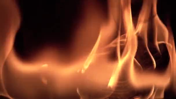 Bruciare il telefono cellulare in fiamme — Video Stock