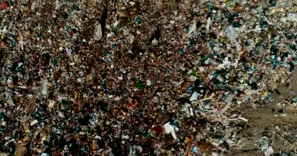 A huge garbage dump People sort out the garbage in the landfill. Seagulls fly over garbage top View of an debris. — Stock Video
