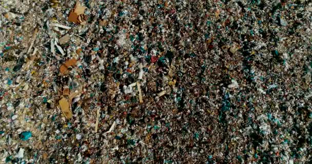 Городская свалка Огромный мусорный бак. Чайки кружат над мусором. Хранимый мусор . — стоковое видео