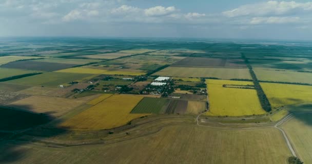 Schöne Aussicht auf grüne landwirtschaftliche Felder. — Stockvideo
