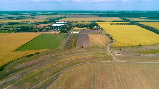 Bela vista dos campos agrícolas verdes. Estrada rural. Campo florido . — Vídeo de Stock