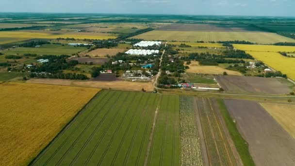 Bella vista sui campi agricoli verdi. Strada rurale. Campo di fioritura . — Video Stock