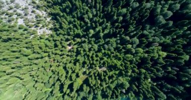 Malaya Ritsa Abhazya mavi dağ gölünün panoramik manzarası ile üstten çam ormanının güzel manzarası.