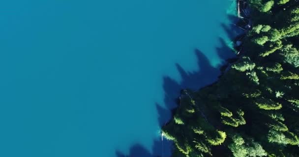 Bella vista della pineta dalla cima con vista panoramica sul lago blu di montagna Malesia Ritsa Abkhazia . — Video Stock