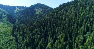 Abhazya Ritsa kalıntı milli Parkı rezerv drone ile çekim kayalık Kafkas aralığı üzerinde kalıntı orman Alp manzara üzerinde uçan