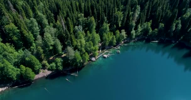 Malaya Ritsa Abhazya mavi dağ gölünün panoramik manzarası ile üstten çam ormanının güzel manzarası. — Stok video