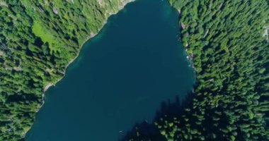 Abhazya'daki Malaya Ritsa Gölü mavi dağ gölü. Yüksek dağ çam manzarasına sahip büyük Ritsa Gölü'nün panoramik manzarası.