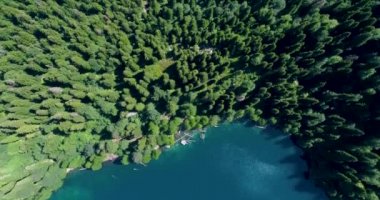 Malaya Ritsa Abhazya mavi dağ gölünün panoramik manzarası ile üstten çam ormanının güzel manzarası.
