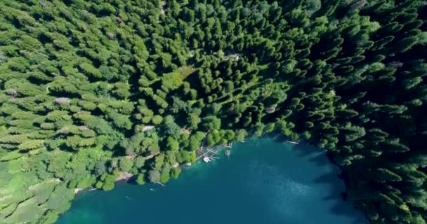 Gyönyörű kilátás a fenyőerdőre fentről, panorámás kilátással a kék hegyi tóra, Malaya Ritsa Abházia. — Stock videók