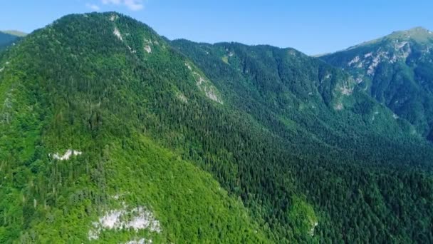 Las altas montañas están cubiertas con un antiguo bosque verde. Parque nacional reliquia reserva Abjasia . — Vídeo de stock