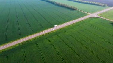 Otobanda yeşil tarlaların arasında beyaz bir arabanın hareketi. Buğday tarlası.