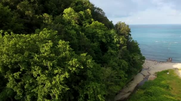 Groene bos aan de kust beekje vakantiegangers op het strand — Stockvideo
